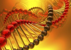 Render of DNA